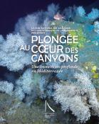 Plongée au coeur des canyons